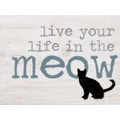 Live you life in the meow [2]