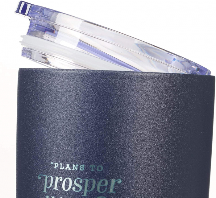 Plans to prosper you [3]