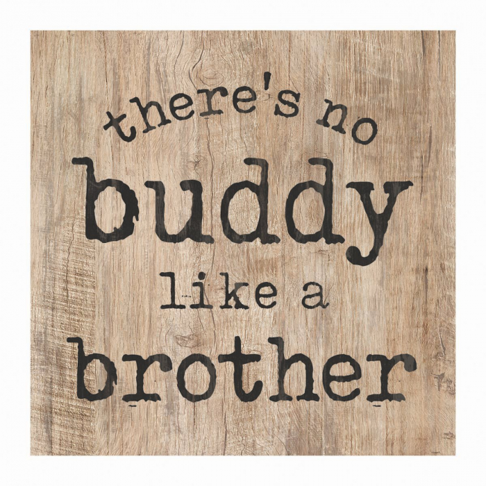 There's no buddy like a brother [1]