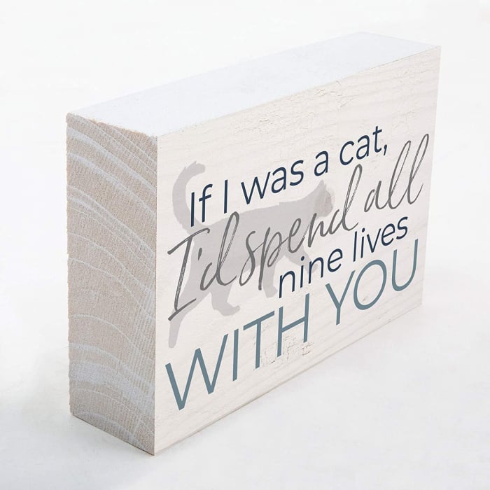 If I was a cat I'd spend all nine lives [3]