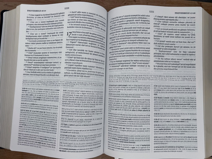 Biblia de studiu Cornilescu (editie cartonata) [5]