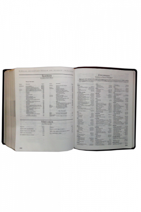 Biblia internationala de studiu inductiv [3]