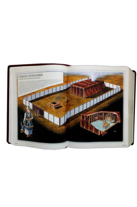 Biblia internationala de studiu inductiv [8]