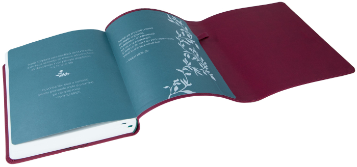 Biblia Jurnal Artistic [6]