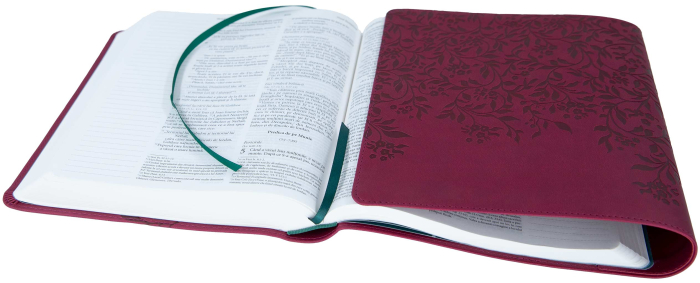 Biblia Jurnal Artistic [3]