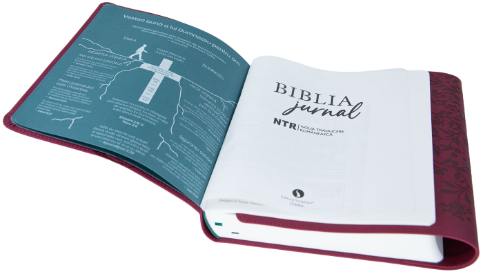Biblia Jurnal Artistic [5]