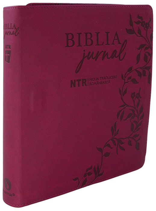Biblia Jurnal Artistic [1]