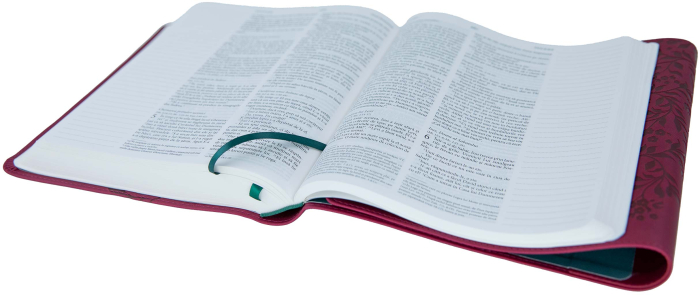 Biblia Jurnal Artistic [12]