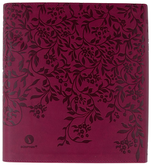 Biblia Jurnal Artistic [11]