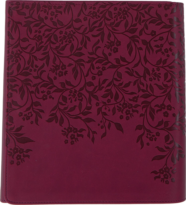 Biblia Jurnal Artistic [8]