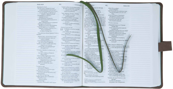 Biblia Jurnal Rustic [3]