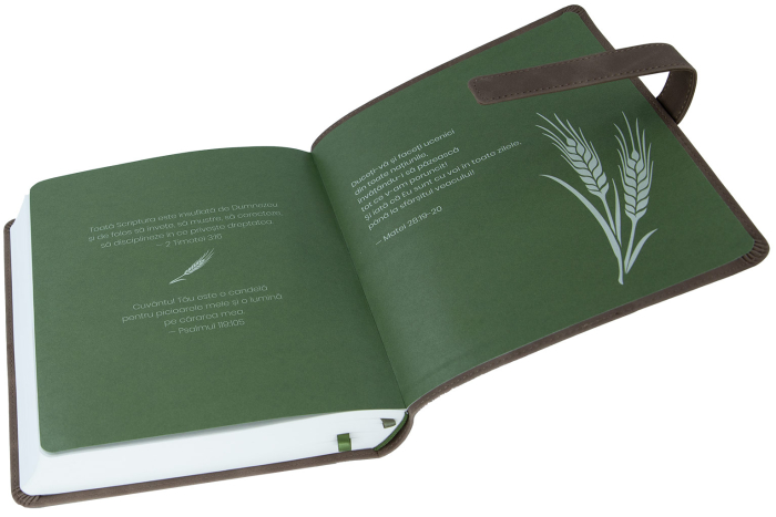 Biblia Jurnal Rustic [13]