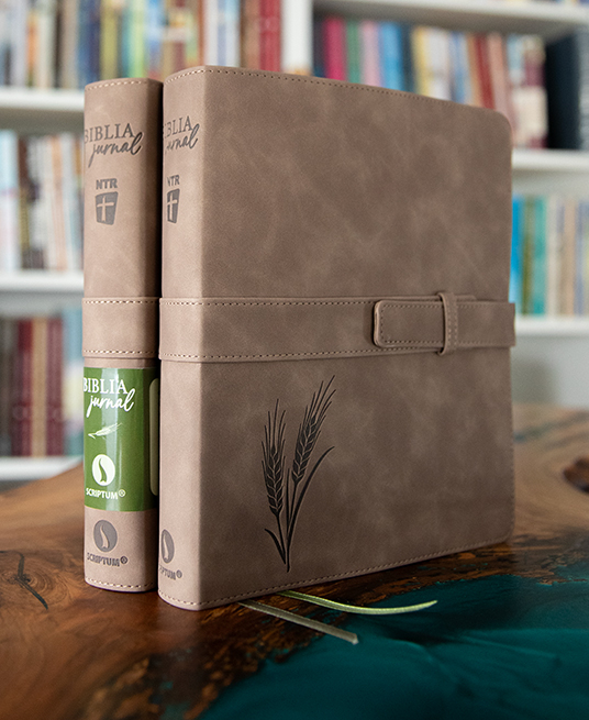 Biblia Jurnal Rustic [8]