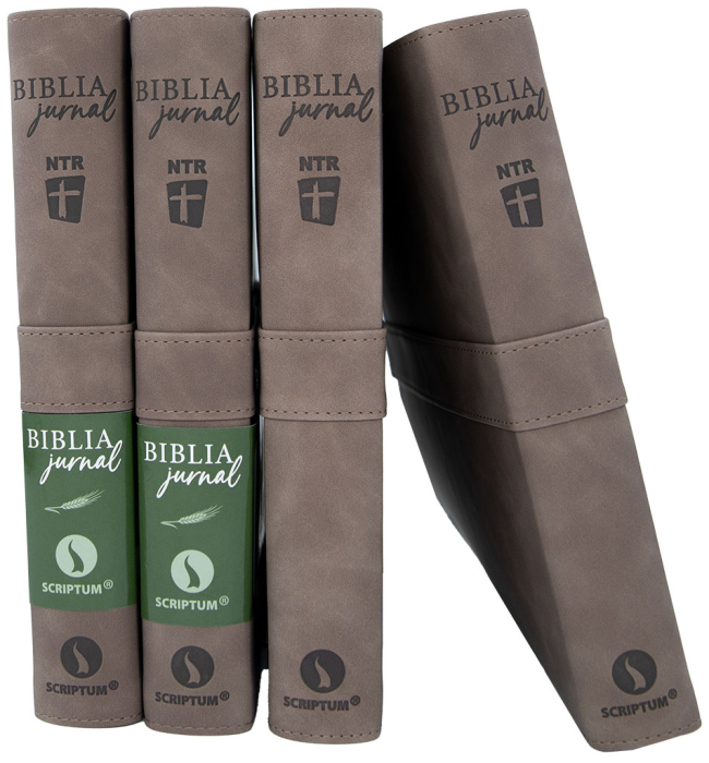 Biblia Jurnal Rustic [6]