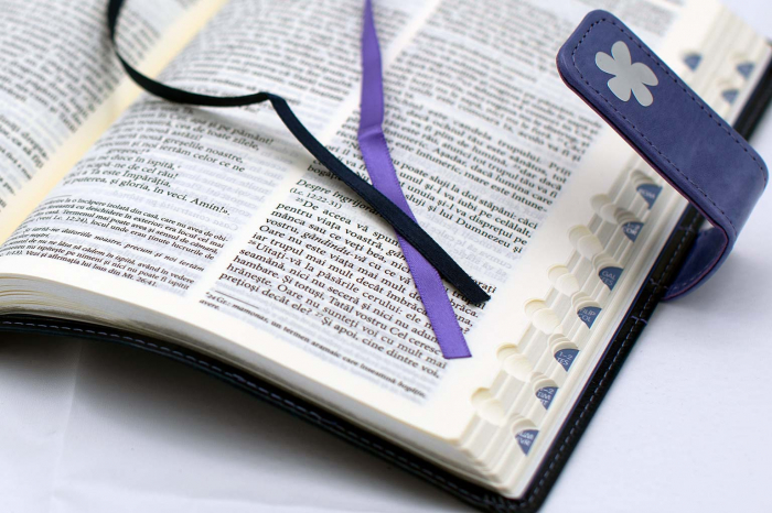 Biblia NTR medie Elegant [6]