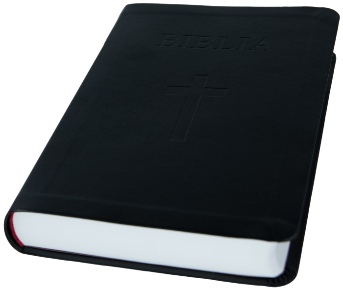 Biblia NTR medie Standard [3]