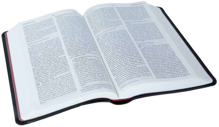 Biblia NTR medie Standard [5]