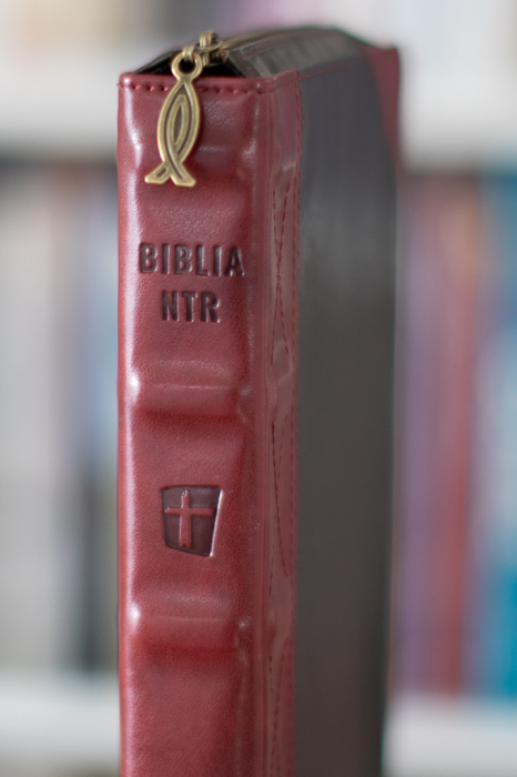 Biblia NTR medie Vintage (fermoar/capsa) [8]