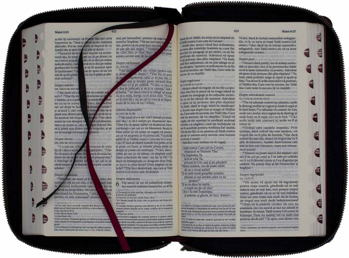 Biblia NTR medie Vintage (fermoar/capsa) [7]