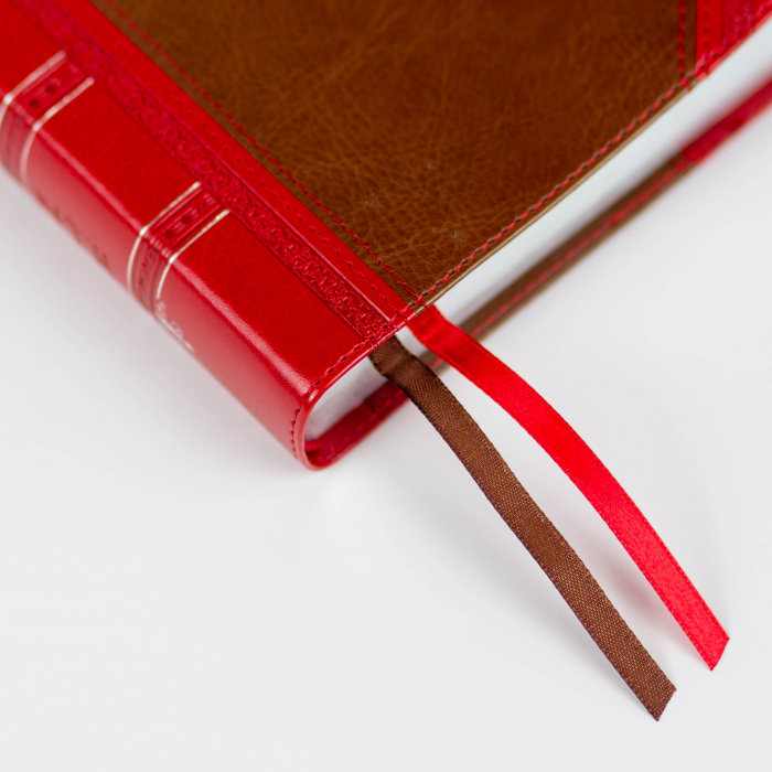 Biblia NTR - Vintage (Maro/Rosu) [6]