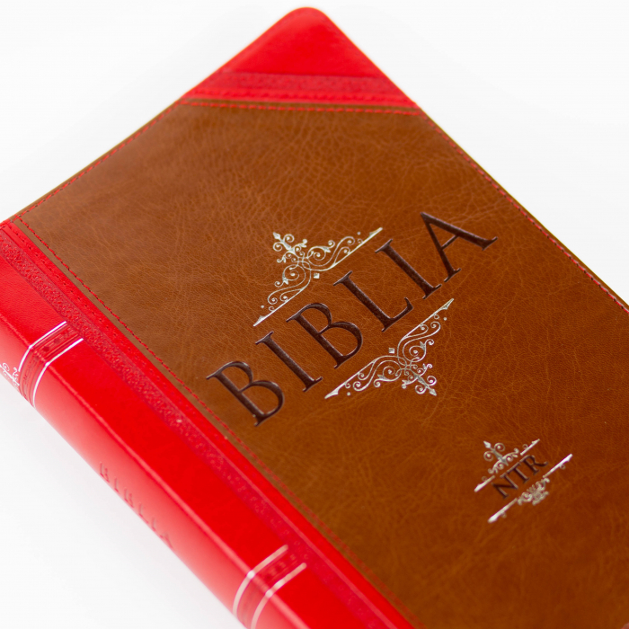 Biblia NTR - Vintage (Maro/Rosu) [7]