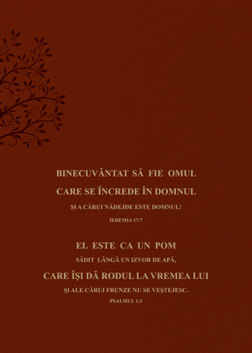 Biblia Speranta in Suferinta - Maro [2]