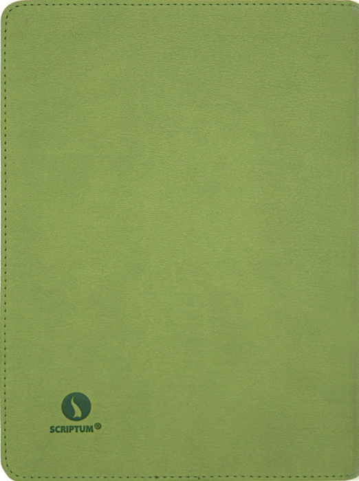 Biblia zilnica in ordine cronologica - VERDE [2]