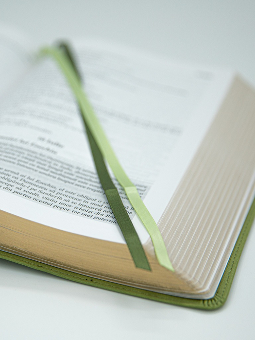 Biblia zilnica in ordine cronologica - VERDE [3]