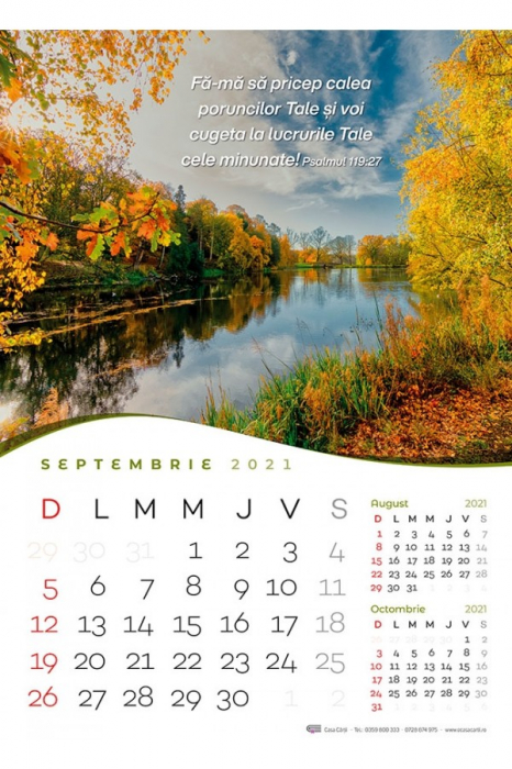 Calendar de perete 2021 - format mare A3 [4]