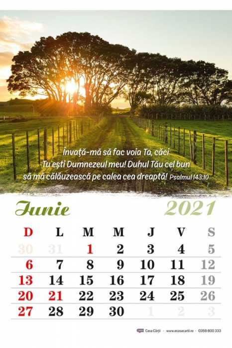 Calendar de perete 2021 - format A4 [3]