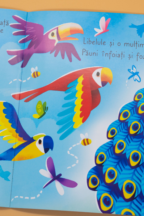 Creatia foarte colorata a lui Dumnezeu (seria: cele mai frumoase istorisiri biblice) [9]