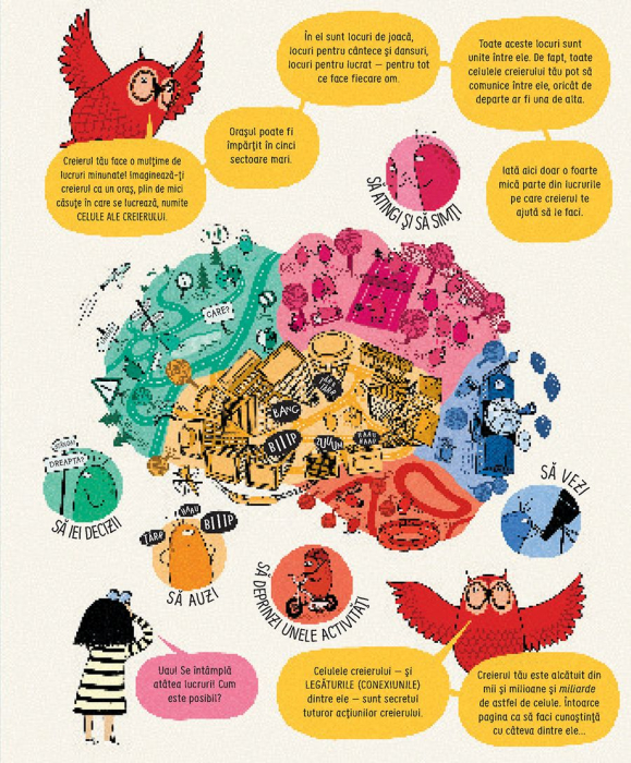 Cum functioneaza creierul uman (Usborne) [5]
