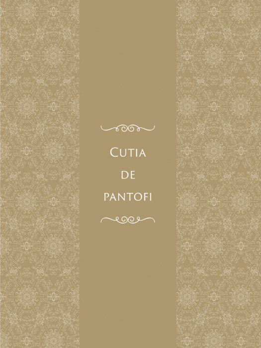 Cutia de pantofi [7]