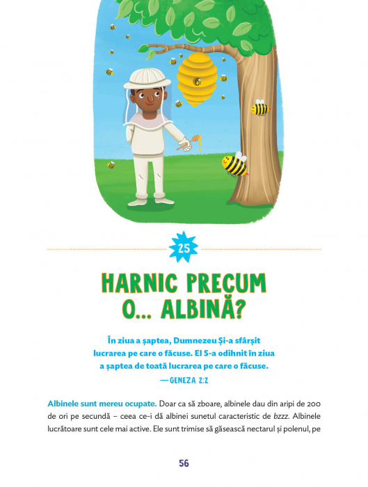De nedescris [3]