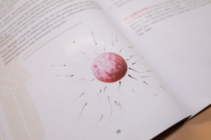 Discutia - 7 lectii pentru a prezenta copilului tau sexualitatea biblica [25]