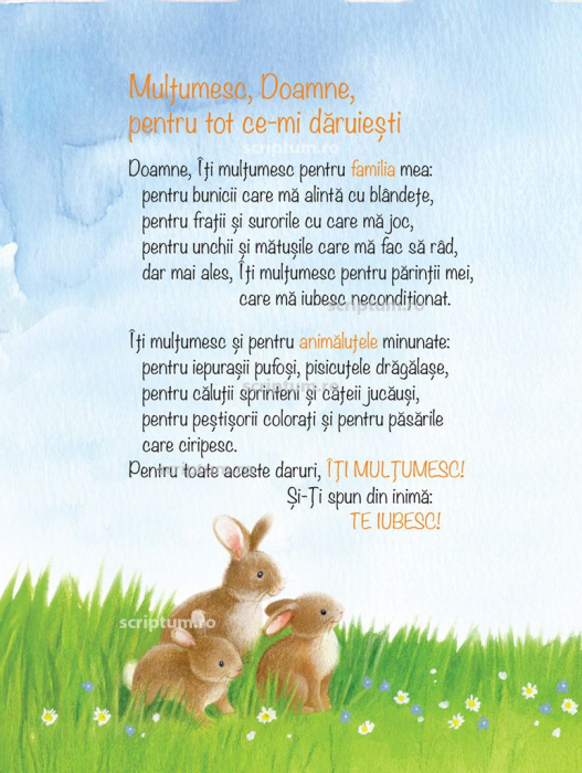 Domnul sa te binecuvanteze (Seria Aventuri pentru suflet) [2]