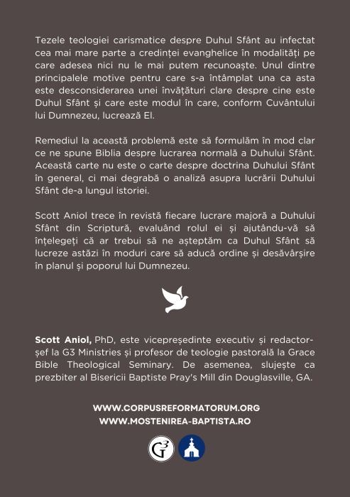 Duhul Sfânt: Dumnezeul ordinii [2]