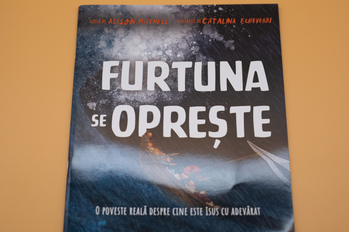 Furtuna se opreste (seria: Povesti care spun adevarul) [14]