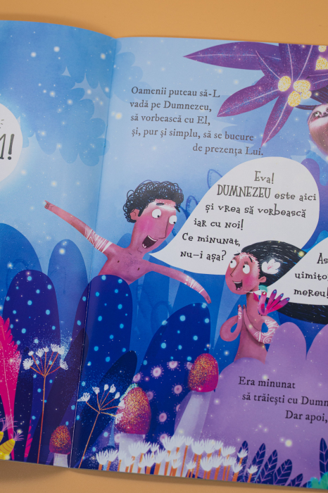 Gradina, perdeaua si crucea (seria: Povesti care spun adevarul) [12]