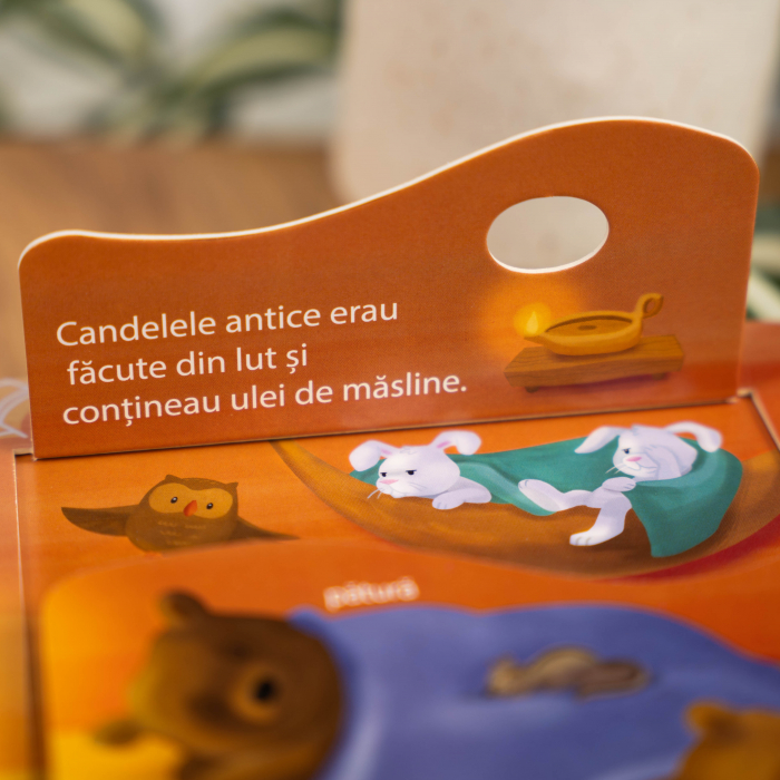 Ia te uita! Noe - priveste si exploreaza [3]