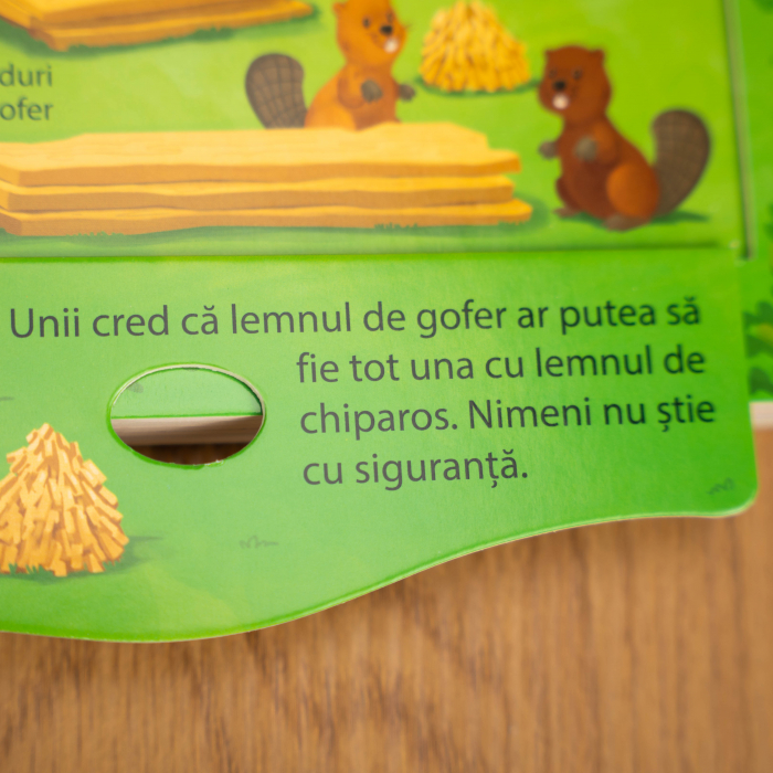 Ia te uita! Noe - priveste si exploreaza [5]