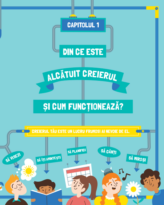Impresionantul creier uman [6]