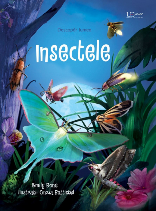 Insectele (Usborne) [1]