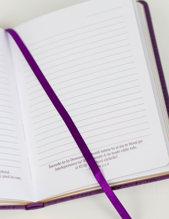 Jurnal: Pot totul în Hristos care mă întărește (Mov) [3]