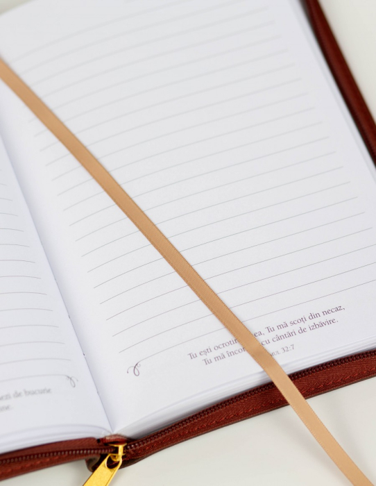 Jurnal: Te-am purtat și tot vreau să te mai port [2]