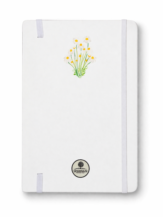 Jurnal - Voi istorisi toate minunile Lui [3]