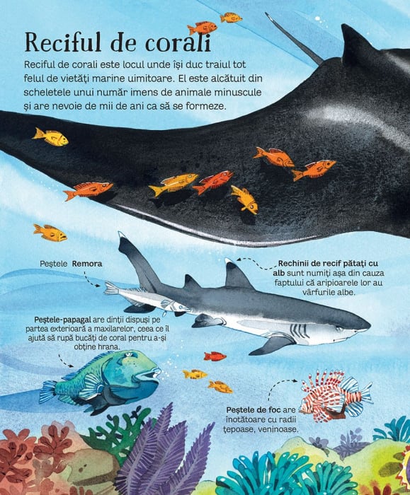 Marea carte a animalelor din mari si oceane (Usborne) [3]
