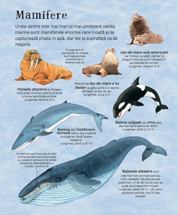 Marea carte a animalelor din mari si oceane (Usborne) [5]