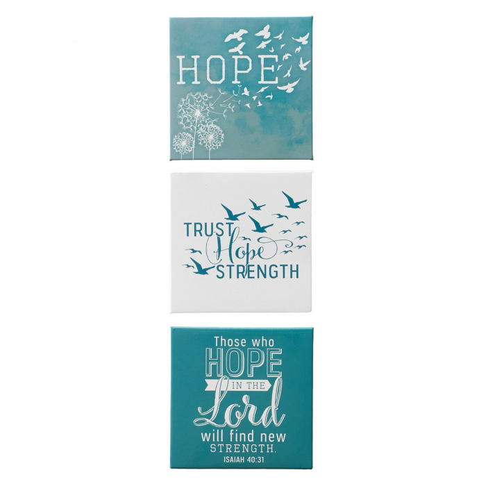 Soar - Isaiah 40:31 [2]