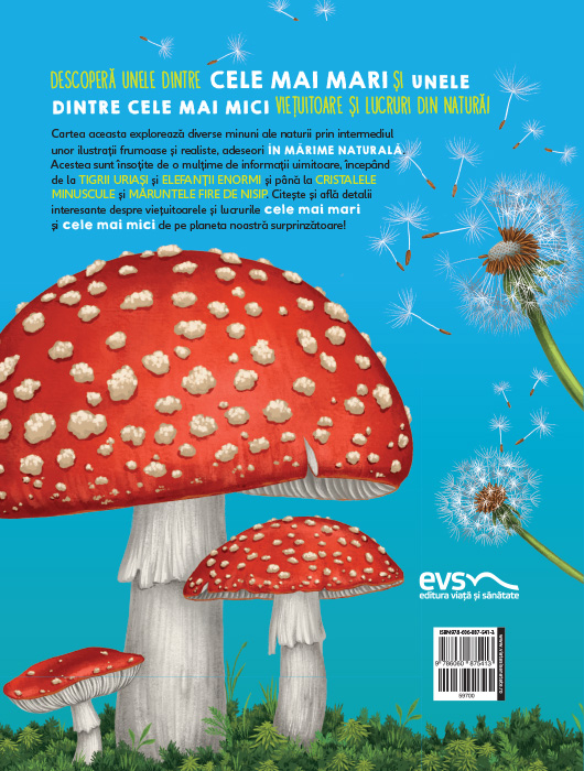 Mic si mare, o mirare [6]